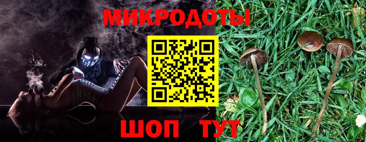 Дербент  Галлюциногенные грибы мухоморы  Вход с VPN 