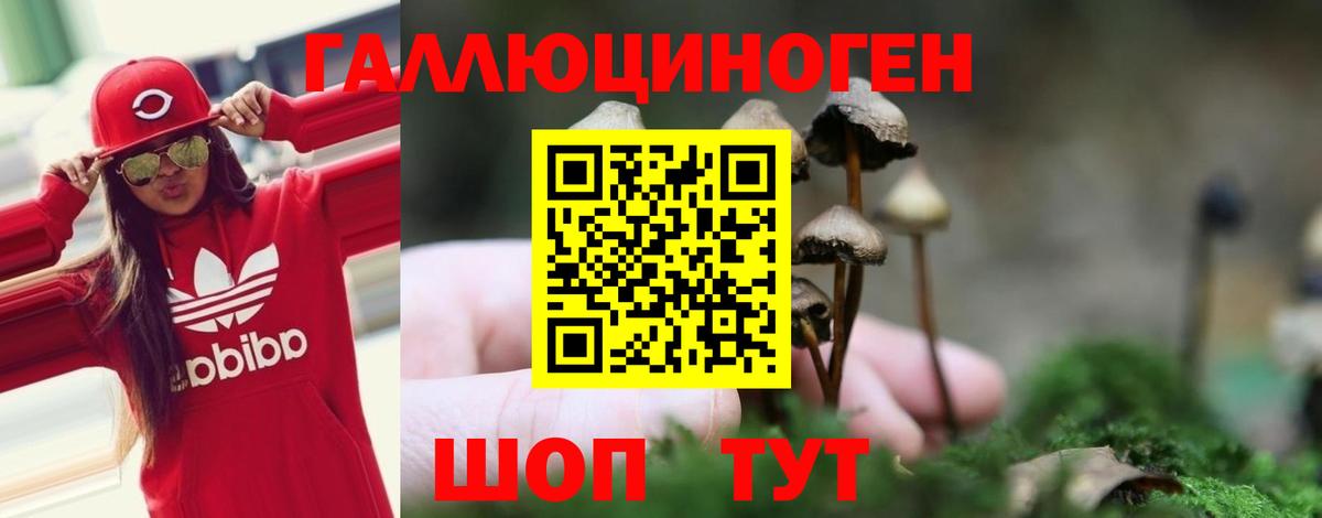 Галлюциногенные грибы ЛСД Дербент